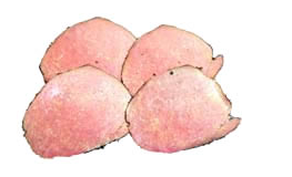 Corned Beef