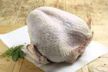 Turkey Buffet